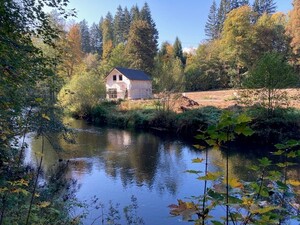 g_3830_35386.jpg